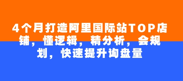 4个月打造阿里国际站TOP店铺，懂逻辑，精分析，会规划，快速提升询盘量-雲鼎文化传媒