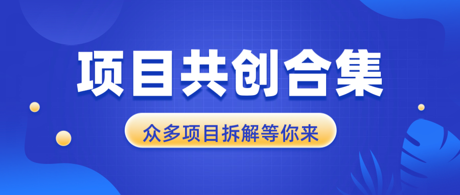 项目共创合集，从0-1全过程拆解，让你迅速找到适合自已的项目-雲鼎文化传媒