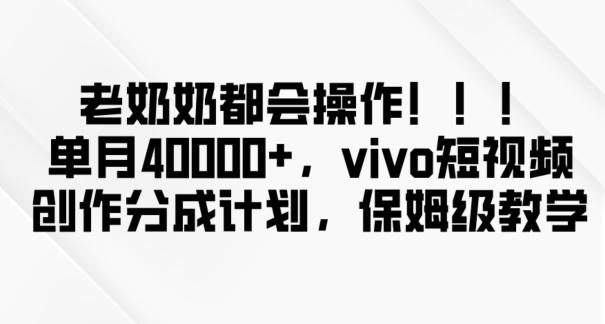 老奶奶都会操作，新平台无脑操作，单月40000+，vivo短视频创作分成计划【揭秘】-雲鼎文化传媒