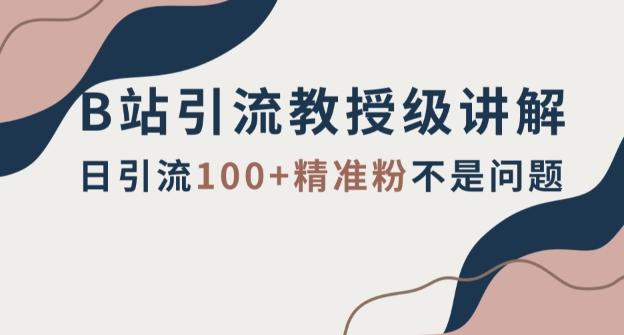 B站引流教授级讲解，细节满满，日引流100+精准粉不是问题【揭秘】-雲鼎文化传媒