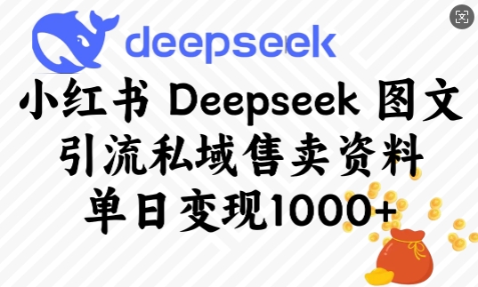 小红书Deepseek图文引流私域售卖资料，单日变现多张-雲鼎文化传媒