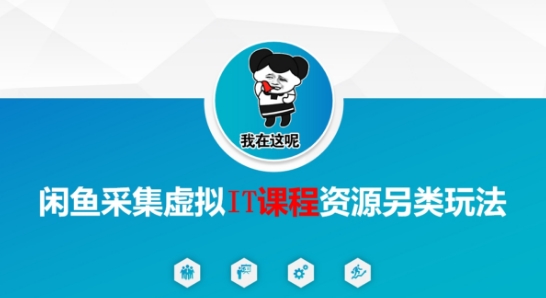 闲鱼采集虚拟IT课程资源另类玩法，干货满满-雲鼎文化传媒
