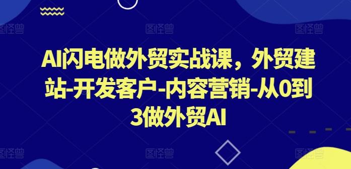 AI闪电做外贸实战课，​外贸建站-开发客户-内容营销-从0到3做外贸AI-雲鼎文化传媒