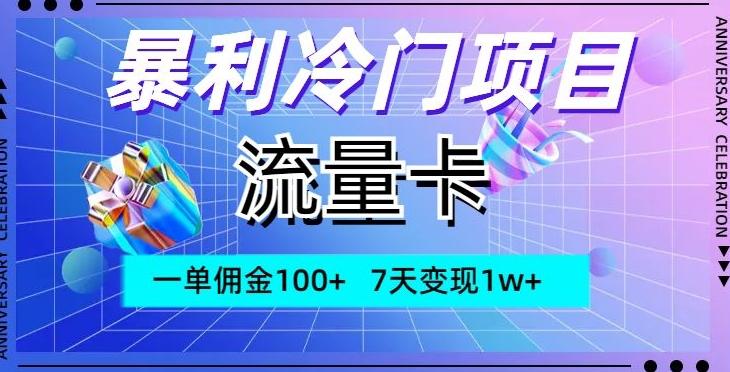 暴利冷门项目，流量卡，一单佣金100+，7天变现1w+-雲鼎文化传媒