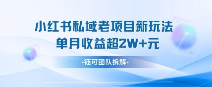 小红书私域项目新玩法，单月变现过W+-雲鼎文化传媒