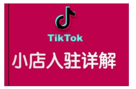TikTok跨境小店运营全攻略，帮助你独立运营TK跨境小店的能力，实现销量增长-雲鼎文化传媒