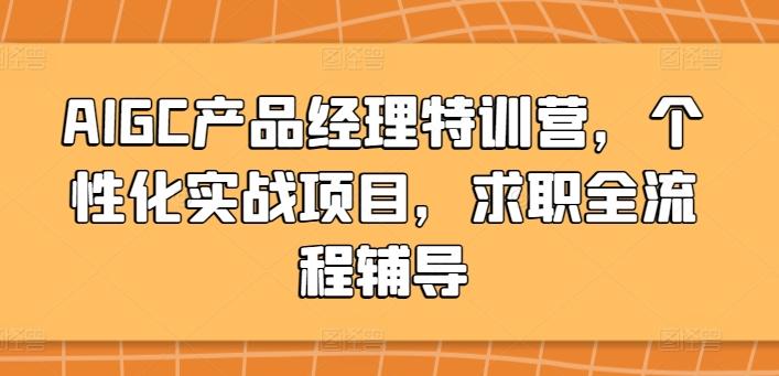 AIGC产品经理特训营，个性化实战项目，求职全流程辅导-雲鼎文化传媒
