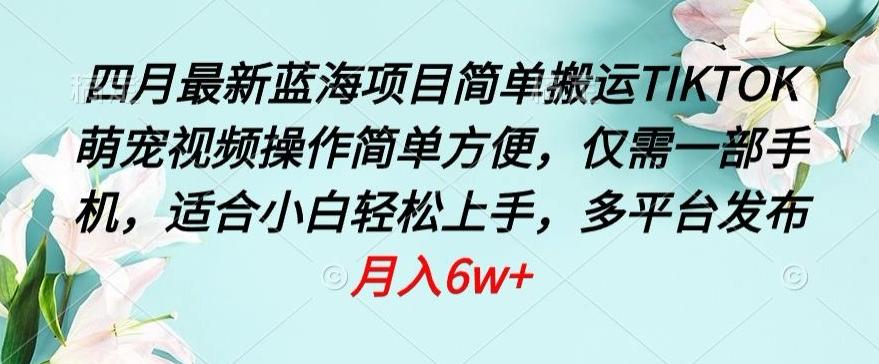 四月最新蓝海项目，简单搬运TIKTOK萌宠视频，操作简单方便，仅需一部手机【揭秘】-雲鼎文化传媒
