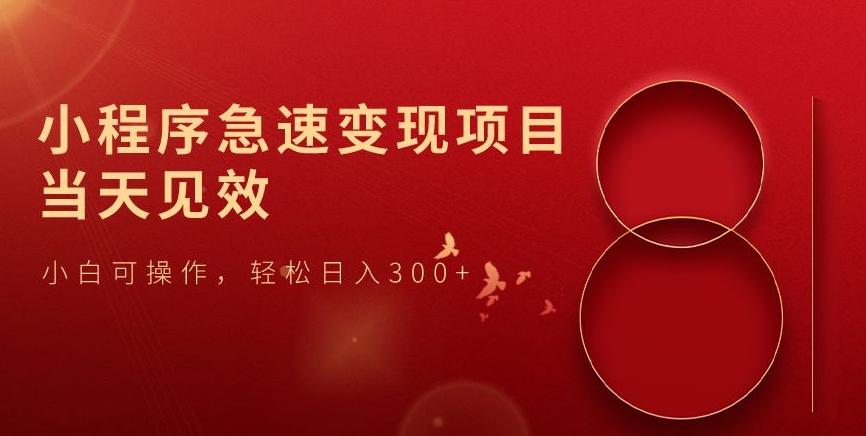 小程序急速变现项目，当天见效，小白可操作，轻松日入300+-雲鼎文化传媒