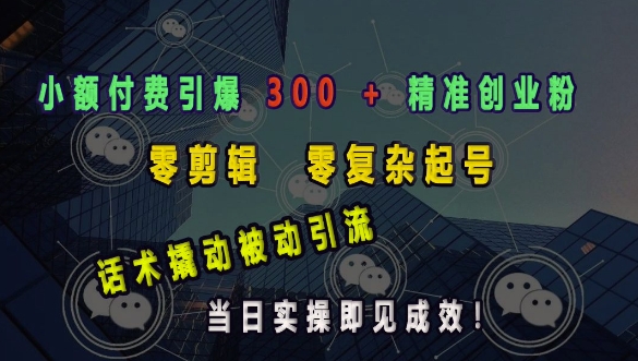 小额付费引爆 300 + 精准创业粉，零剪辑、零复杂起号，话术撬动被动引流，当日实操即见成效-雲鼎文化传媒