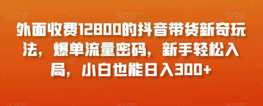 外面收费12800的抖音带货新奇玩法，爆单流量密码，新手轻松入局，小白也能日入300+【揭秘】-雲鼎文化传媒