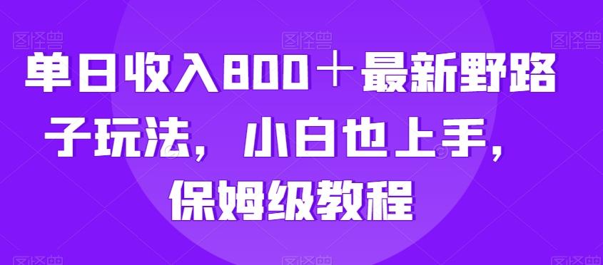 单日收入800＋最新野路子玩法，小白也上手，保姆级教程-雲鼎文化传媒
