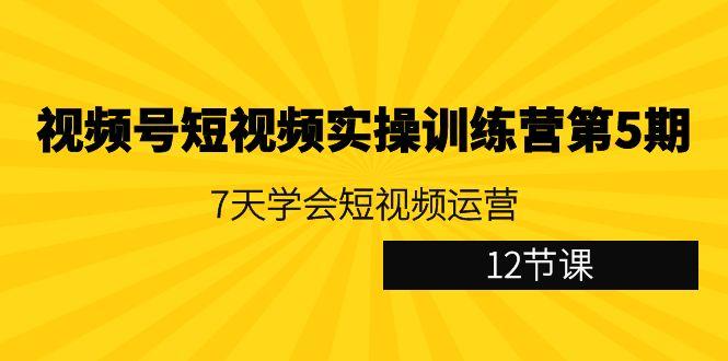 视频号短视频实操训练营第5期：7天学会短视频运营(12节课)-雲鼎文化传媒