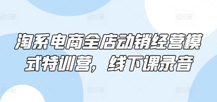 淘系电商全店动销经营模式特训营，线下课录音-雲鼎文化传媒