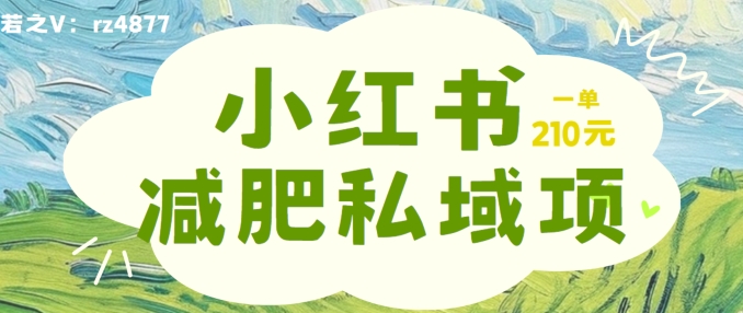 小红书减肥粉，私域变现项目，一单就达210元，小白也能轻松上手【揭秘】-雲鼎文化传媒