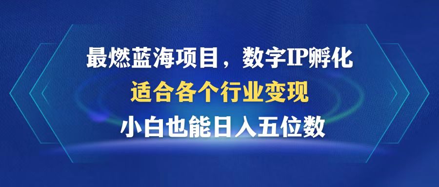 最燃蓝海项目  数字IP孵化  适合各个行业变现  小白也能日入5位数-雲鼎文化传媒