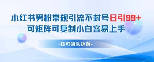 小红书男粉常规引流不封号日引99+变现简单 可矩阵可复制小白容易上手-雲鼎文化传媒