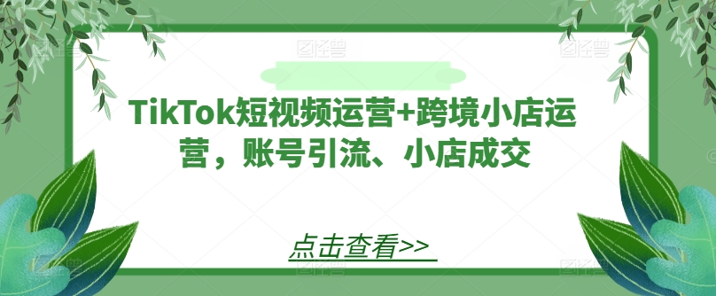 TikTok短视频运营+跨境小店运营，账号引流、小店成交-雲鼎文化传媒