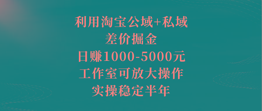 利用淘宝公域+私域差价掘金，日赚1000-5000元，工作室可放大操作，实操…-雲鼎文化传媒