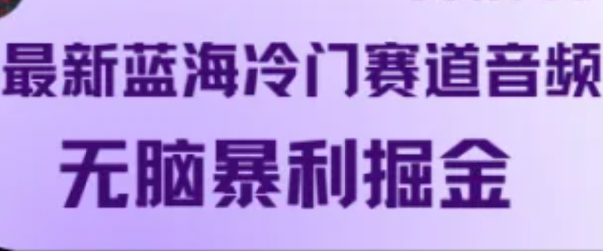 最新蓝海冷门赛道音频，无脑暴利掘金-雲鼎文化传媒