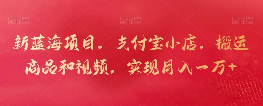 新蓝海项目，支付宝小店，搬运商品和视频，实现月入一万+【揭秘】-雲鼎文化传媒