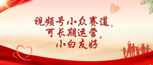 视频号小众赛道，可长期运营，小白友好【揭秘】-雲鼎文化传媒