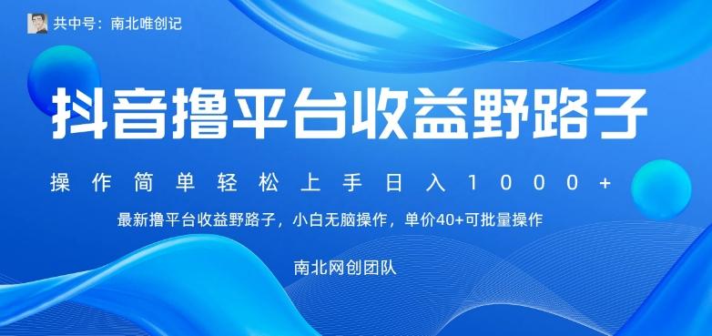 最新撸抖音平台收益野路子，操作简单，单价高，小白可无脑操作可日入1000+-雲鼎文化传媒