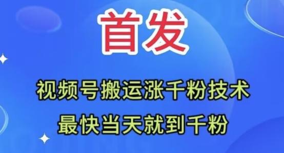 全网首发：视频号无脑搬运涨千粉技术，最快当天到千粉【揭秘】-雲鼎文化传媒