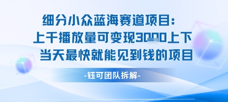 小众蓝海赛道项目：当天变现1k+适合新手操作 +适合长期玩-雲鼎文化传媒
