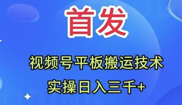 全网首发：视频号平板搬运技术，实操日入三千＋-雲鼎文化传媒