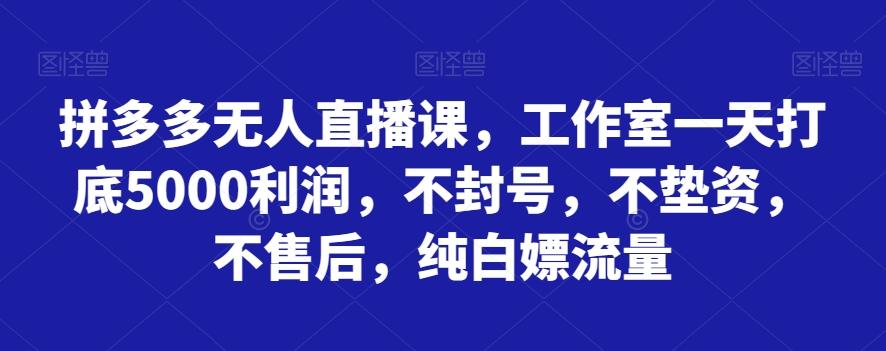拼多多无人直播课，工作室一天打底5000利润，不封号，不垫资，不售后，纯白嫖流量-雲鼎文化传媒