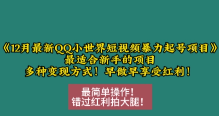 12月最新QQ小世界短视频暴力起号项目，最适合新手的项目，多种变现方式-雲鼎文化传媒