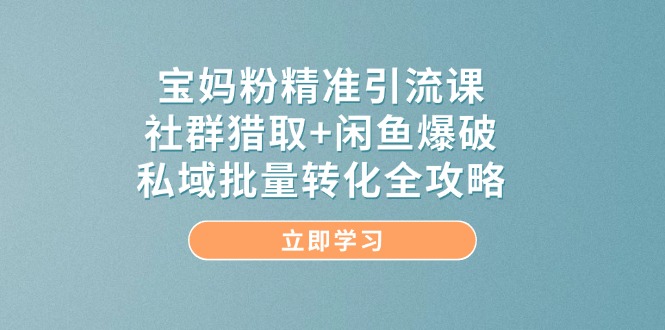 宝妈粉精准引流课，社群猎取+闲鱼爆破，私域批量转化全攻略-雲鼎文化传媒