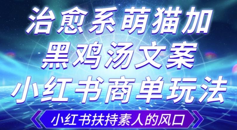 治愈系萌猫加+黑鸡汤文案，小红书商单玩法，3~10天涨到1000粉，一单200左右-雲鼎文化传媒