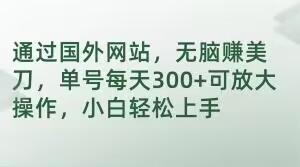 通过国外网站，无脑赚美刀，单号每天300+可放大操作，小白轻松上手【揭秘】-雲鼎文化传媒