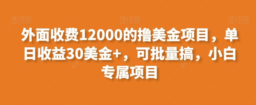 外面收费12000的撸美金项目，单日收益30美金+，可批量搞，小白专属项目-雲鼎文化传媒