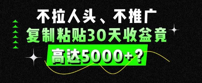 不拉人头、不推广，复制粘贴30天收益竟高达5000+？-雲鼎文化传媒