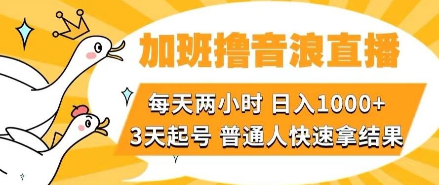 加班撸音浪直播，每天两小时，日入1000+，直播话术才3句，3天起号，普通人快速拿结果【揭秘】-雲鼎文化传媒