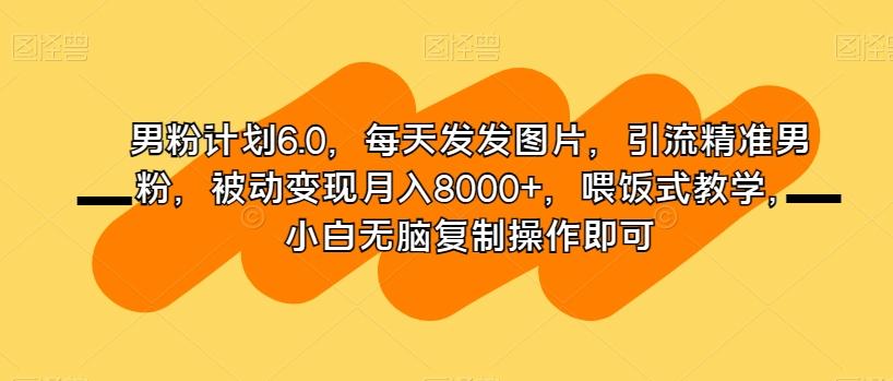 男粉计划6.0，每天发发图片，引流精准男粉，被动变现月入8000+，喂饭式教学，小白无脑复制操作即可-雲鼎文化传媒