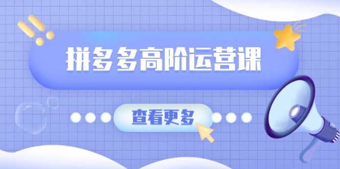 拼多多高阶运营课：极致群爆款玩法，轻付费无尽复制，打造单品爆款之路-雲鼎文化传媒