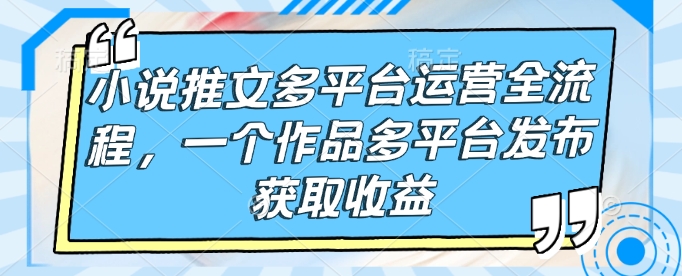 小说推文多平台运营全流程，一个作品多平台发布获取收益-雲鼎文化传媒