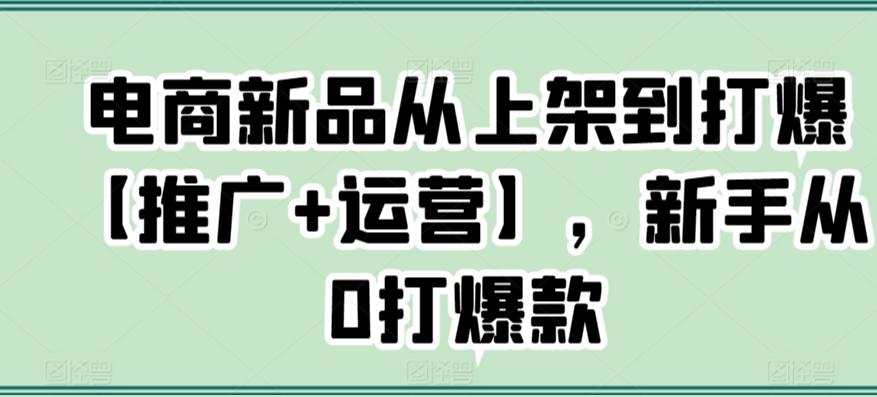 电商新品从上架到打爆【推广+运营】，新手从0打爆款-雲鼎文化传媒