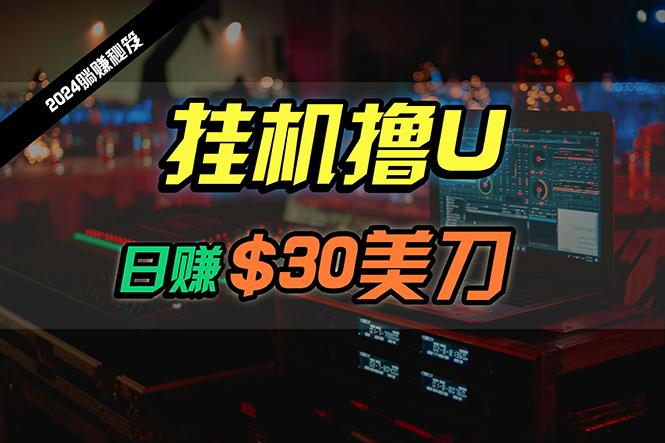 (10013期)日赚30美刀，2024最新海外挂机撸U内部项目，全程无人值守，可批量放大-雲鼎文化传媒