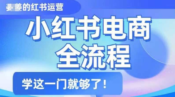 小红书电商全流程，精简易懂，从入门到精通，学这一门就够了-雲鼎文化传媒
