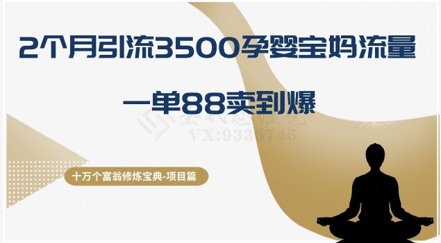 十万个富翁修炼宝典之13.2个月引流3500孕婴宝妈流量，一单88卖到爆-雲鼎文化传媒