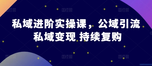 私域进阶实操课，公域引流 私域变现 持续复购-雲鼎文化传媒