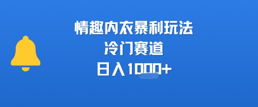 情趣内衣暴利玩法，冷门赛道，日入1k+-雲鼎文化传媒