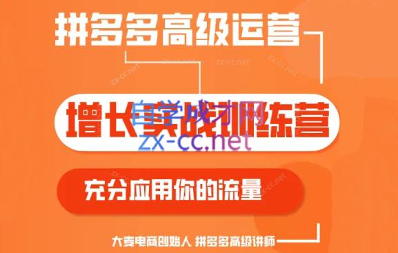 大麦老师·拼多多单品爆款打造课程(更新6月)-雲鼎文化传媒