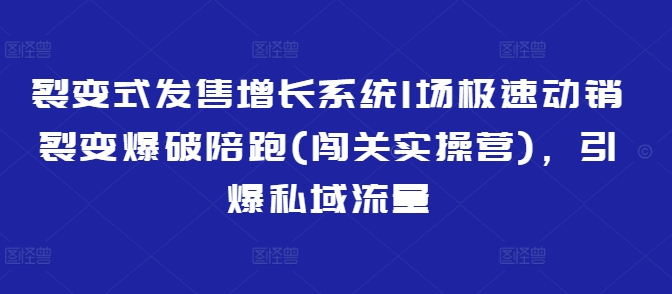 裂变式发售增长系统1场极速动销裂变爆破陪跑(闯关实操营)，引爆私域流量-雲鼎文化传媒