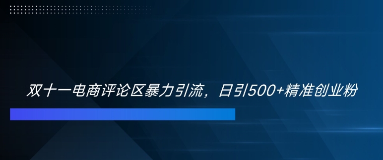 双十一电商评论区暴力引流，日引500+精准创业粉【揭秘】-雲鼎文化传媒